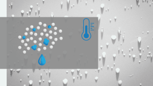 ᐉ Як Позбутися від Цвілі на Стінах | Способи боротьби з грибком