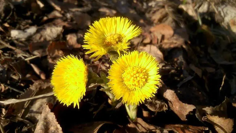 Лікування атероми ➤ Хірургічне лікування атероми Київ