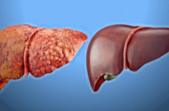 Як ефективно відновити печінку після вживання алкоголю: поради та методи