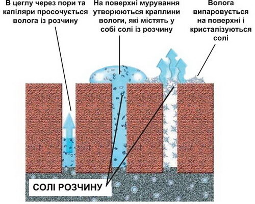 Як ефективно видалити сіль з бетону: методи та поради для очищення