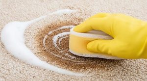 Як та чим відмити кров з меблів та одягу ≡ Блог Clean Clin