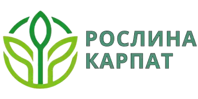 ОЧИЩЕННЯ ОРГАНІЗМУ - як правильно розпочати виведенню токсинів