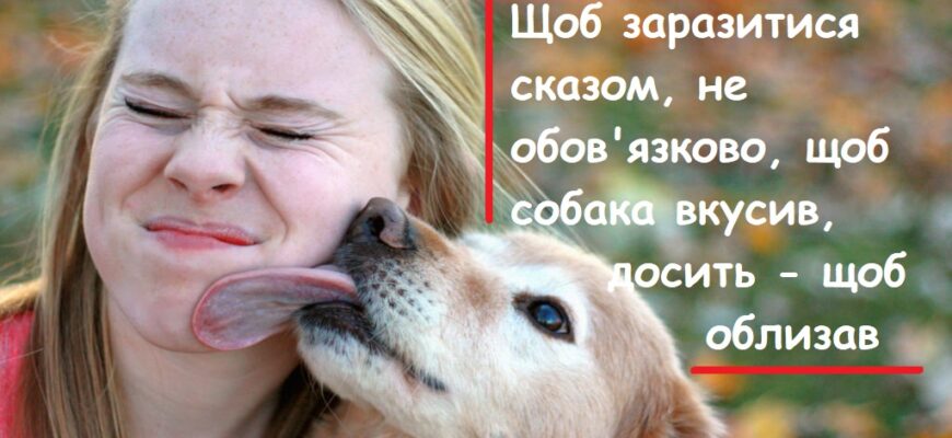 Як ефективно зняти набряк після укусу собаки: поради та засоби