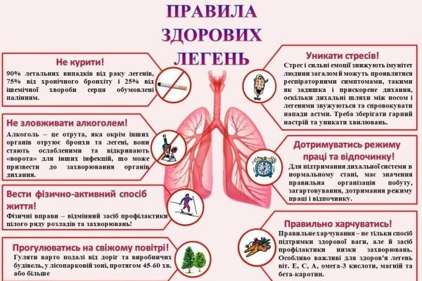 Як лямблії виходять з організму після ефективного лікування
