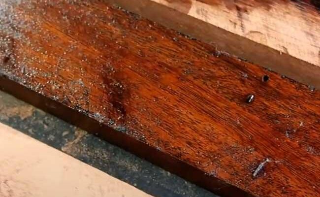 Як обробити дерево, щоб уникнути гниття в землі: ефективні методи Як обробити дерево, щоб уникнути гниття в землі: ефективні методи