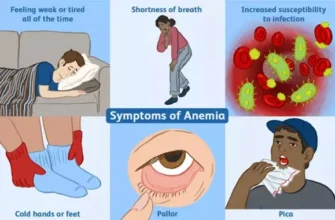 Як підняти лейкоцити після хіміотерапії: ефективні методи відновлення