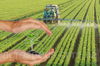 Як та чим кропити сою: ефективні засоби захисту рослин від шкідників