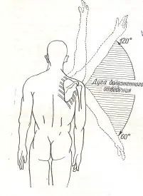 Біль у плечі при піднятті руки | Болить передпліччя