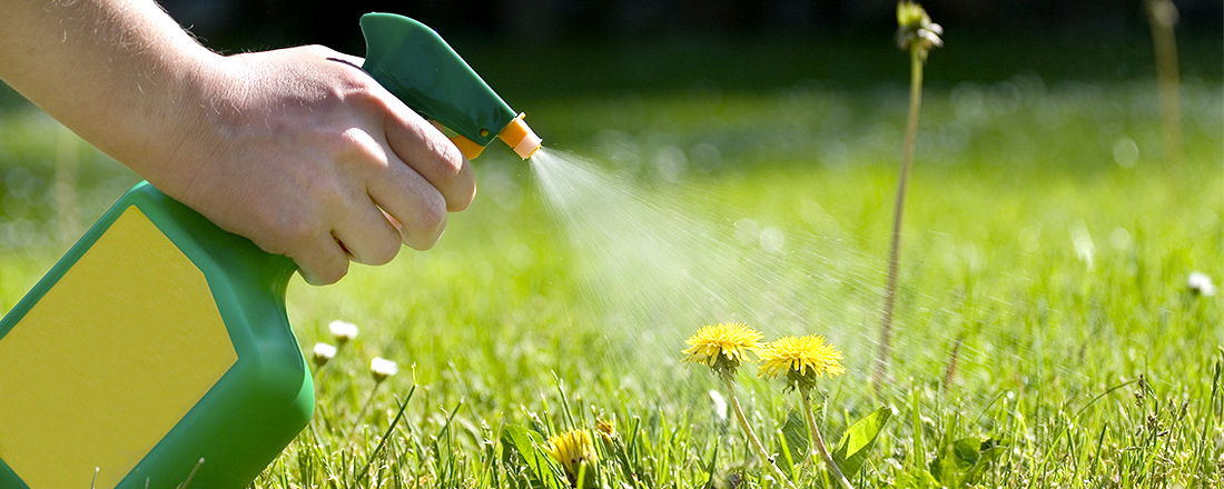 Чим обробити землю від бур'янів: Повний посібник - Kokl.Ua