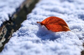Загадковий сон: що означає бачити сніг весною у ваших сновидіннях?