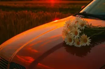 Завантажити пісню Зелені твої очі сняться уночі безкоштовно онлайн