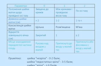 Зміни статевих губ після пологів: що варто знати кожній жінці