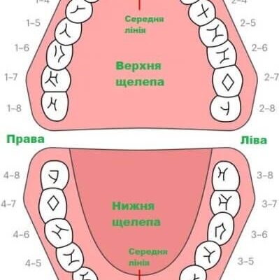 Значення снів: До чого сняться зуби у дитини – розкриття символіки сна