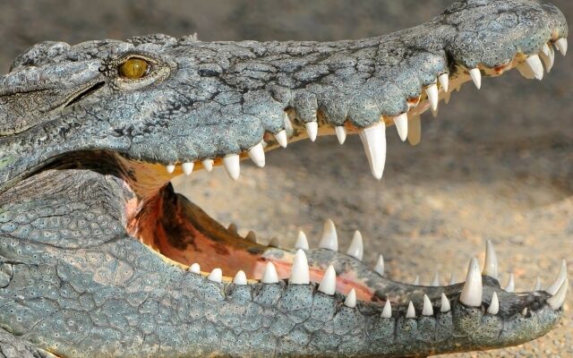 Значення сновидінь: до чого сниться багато води та його символіка