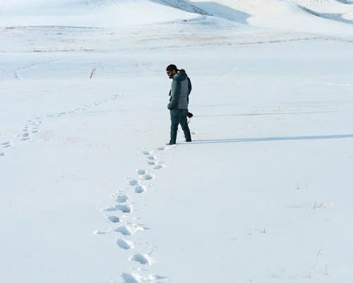 Значення сновидіння: до чого сниться багато пшениці і як його тлумачити?