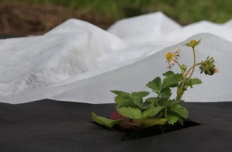 Агроволокно чи агротканина: що обрати для ваших потреб?