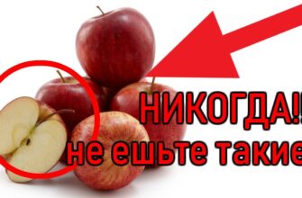Червоні яблука у снах: до чого вони сняться та що означають?
