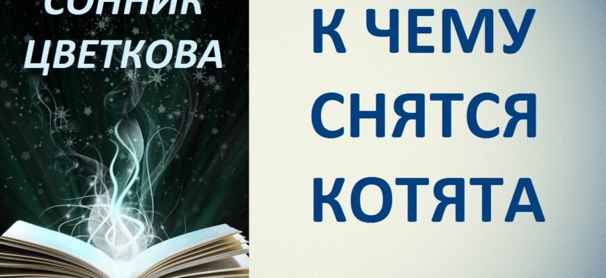 Чому вам наснилося кошеня: значення та тлумачення сну про кошенят