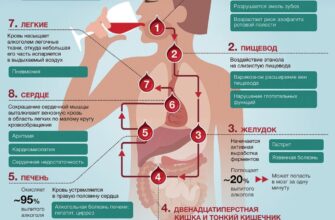 Чи безпечно вживати алкоголь при цукровому діабеті: поради та ризики