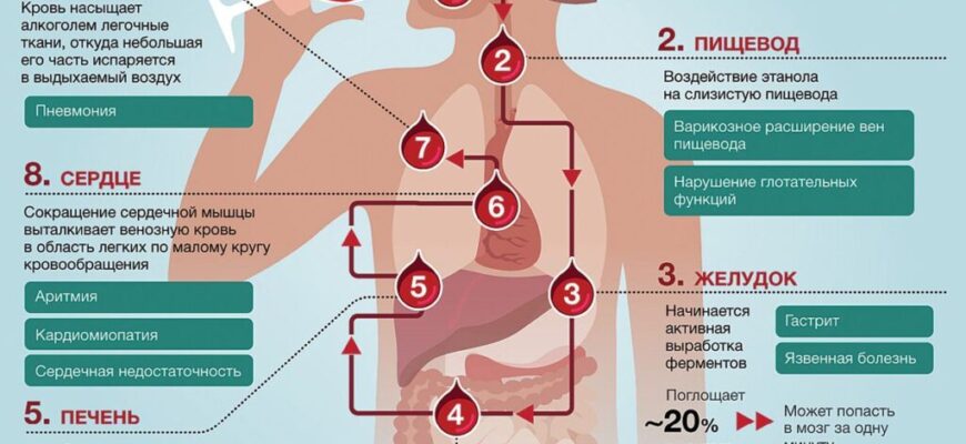 Чи безпечно вживати алкоголь при цукровому діабеті: поради та ризики