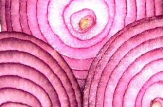 Чи дозволена цибуля для харчування при цукровому діабеті?