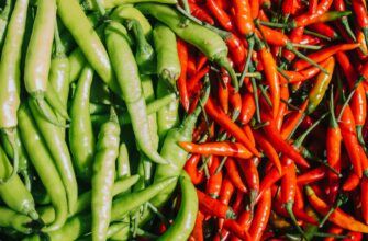 Чи гострий перець падрон: особливості та рівень гостроти цього сорту