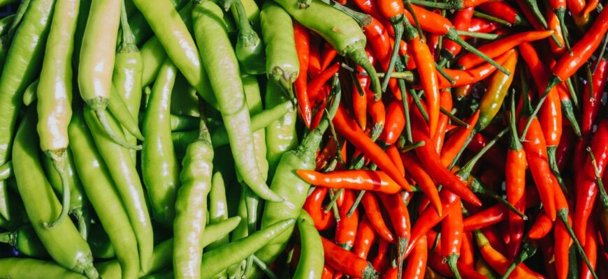 Чи гострий перець падрон: особливості та рівень гостроти цього сорту Чи гострий перець падрон: особливості та рівень гостроти цього сорту