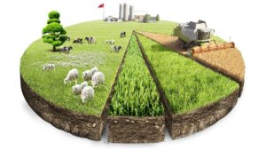 Чи можливо приватизувати землю під час воєнного стану в Україні?