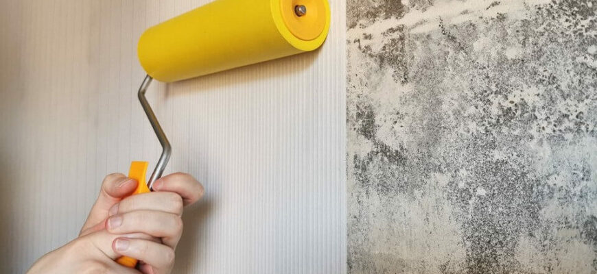 Чи можна клеїти шпалери на глиняні стіни: важливі поради та рекомендації