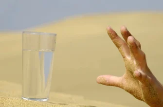 Чи можна розводити снєжку водою: аналіз безпеки та ефективності