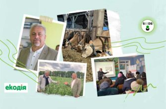 Чи шкодить сучасне виробництво довкіллю: негативні наслідки та виклики