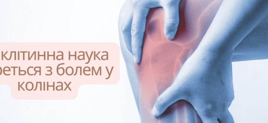 Чи відновлюється меніск: можливості лікування та відновлення функцій