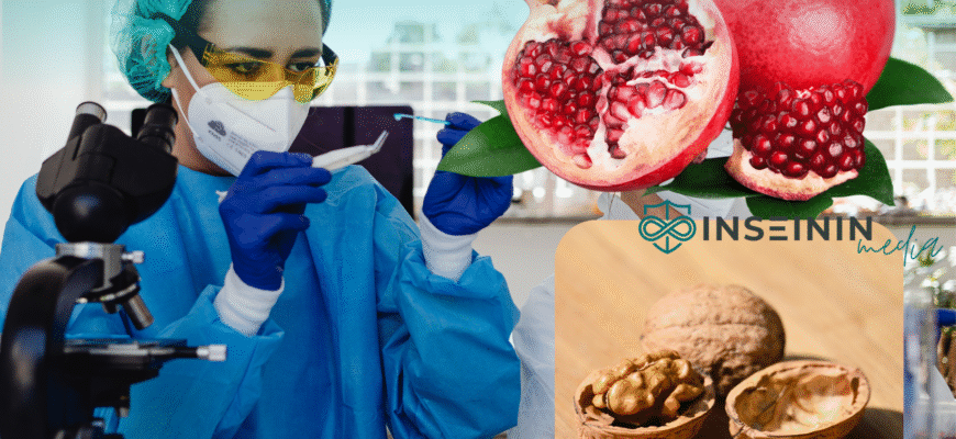 Чи вирощують гранат в Україні: кліматичні умови та перспективи розвитку