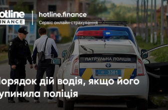 Чи законно зупинка поліцією авто в селі: права та обов’язки водіїв