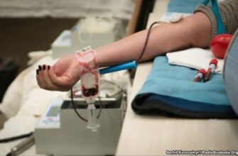 Чи здатний прополіс ефективно розріджувати кров? Дослідження та факти