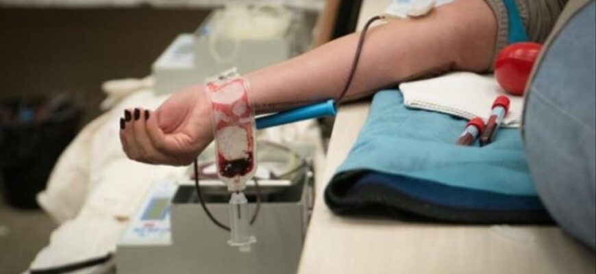 Чи здатний прополіс ефективно розріджувати кров? Дослідження та факти