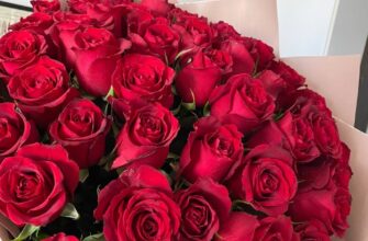 До чого сняться червоні троянди: значення сну та його тлумачення