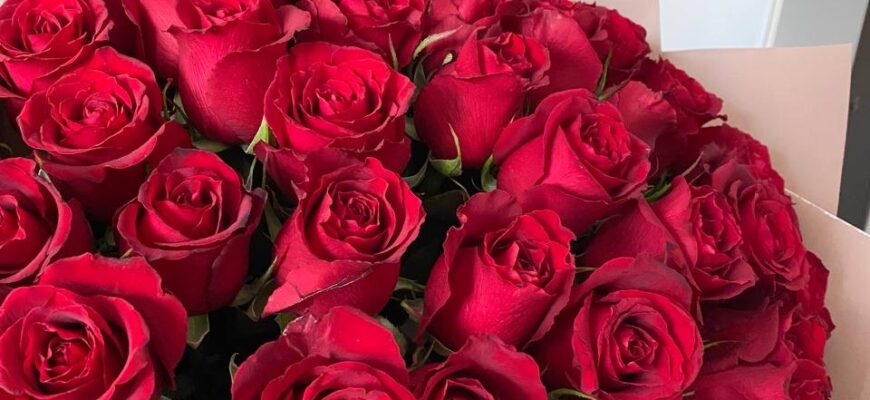 До чого сняться червоні троянди: значення сну та його тлумачення