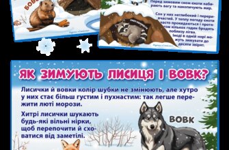 До чого сняться дикі звірі: розгадка символіки снів та їх значення