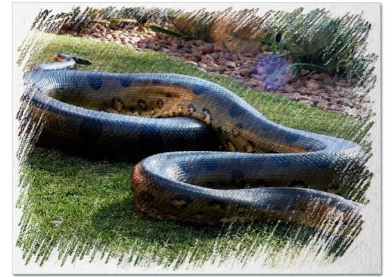 До чого сняться місячні на ліжку: значення сну та тлумачення символів