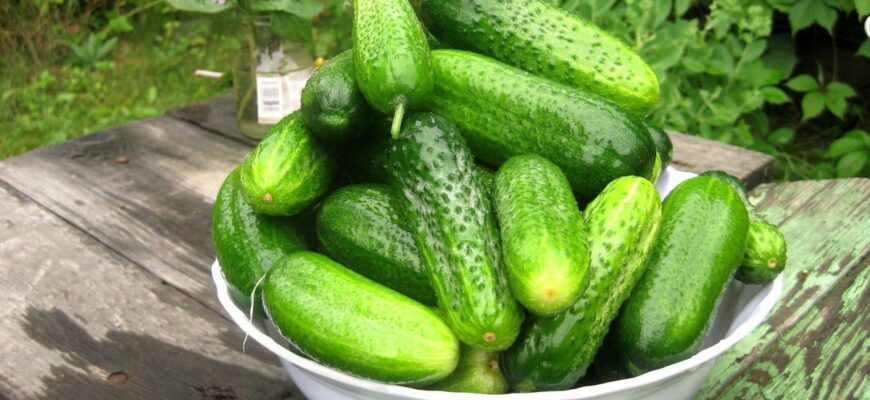 До чого сняться огірки: розкриваємо значення ваших снів з огірками