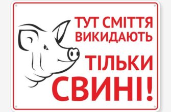 До чого сняться свині жінці: розкриття символіки та значення снів