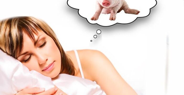 До чого сняться свині: значення та тлумачення сновидінь про свиней