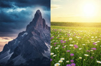 До чого сняться великі картоплини: значення сну та його тлумачення