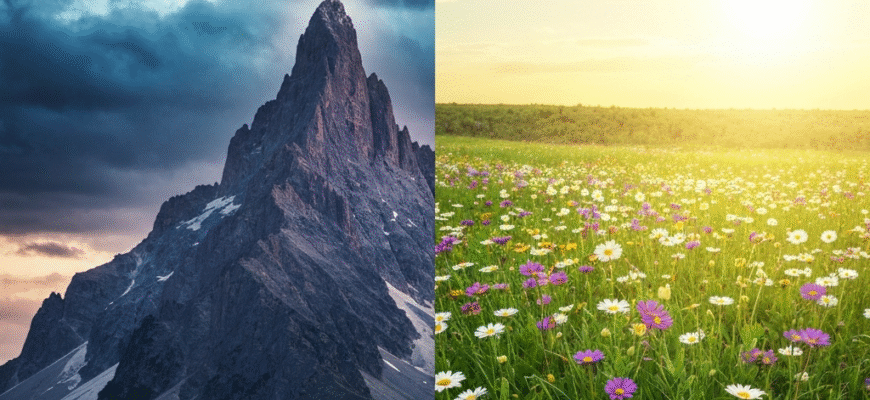 До чого сняться великі картоплини: значення сну та його тлумачення