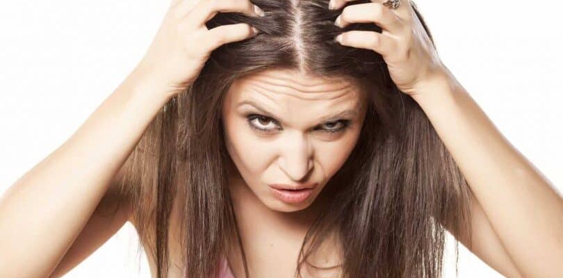 До чого сняться воші в голові: тлумачення сновидінь та їх значення