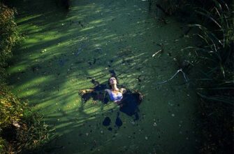 До чого сниться болото: аналіз сновидінь та їхнє значення для вас