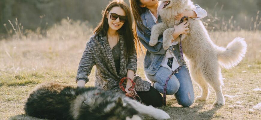 До чого сниться бик, що біжить за тобою: тлумачення сну та значення