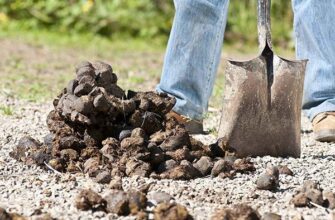 До чого сниться гній: тлумачення сну та його значення для вас