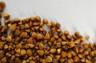 До чого сниться готувати їжу: значення сну та тлумачення символу